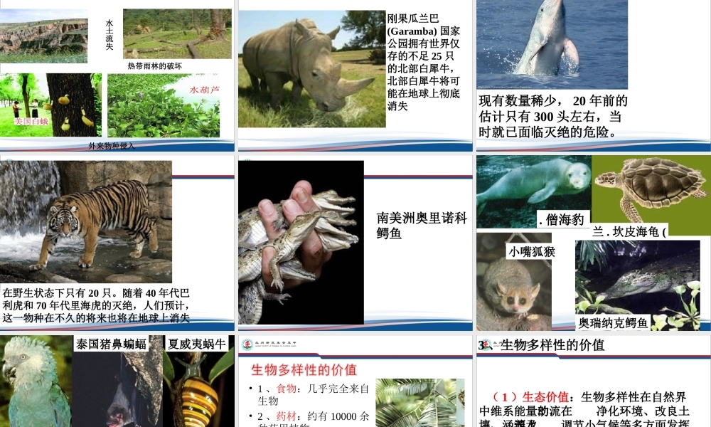 第四节生物多样性保护-(4)