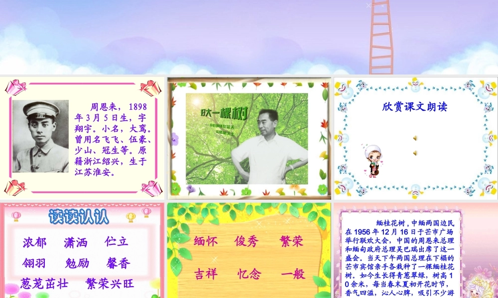 语文A版三年级上册《周总理栽的缅桂花树》PPT课件-2