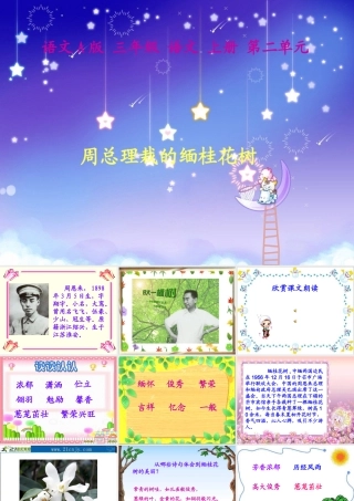 语文A版三年级上册《周总理栽的缅桂花树》PPT课件-2