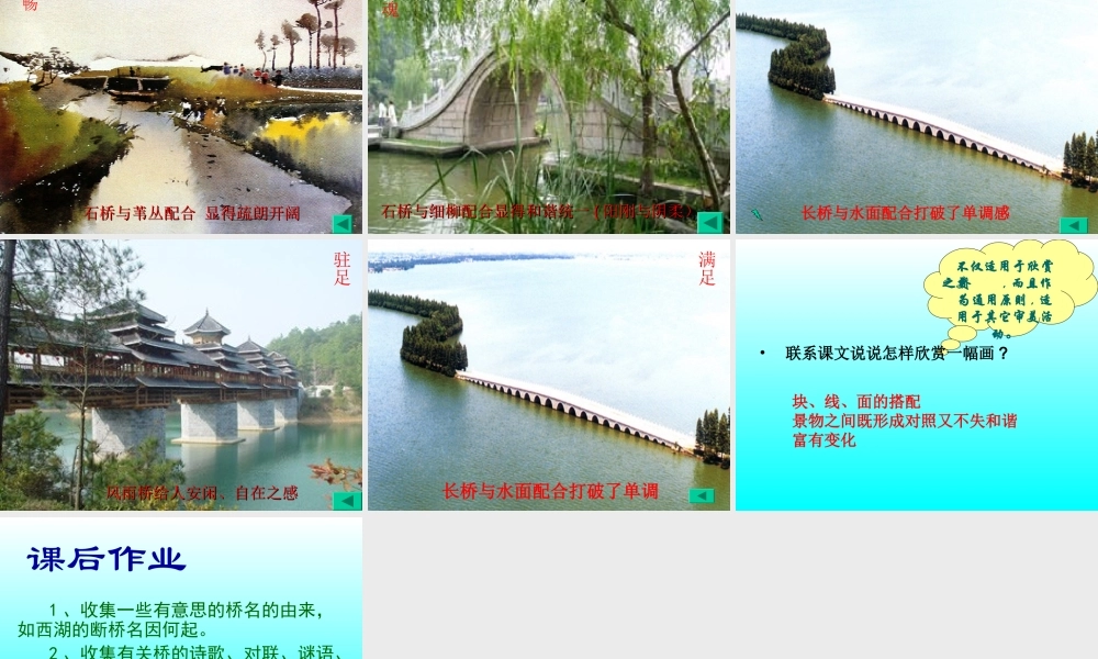 《桥之美》教学课件1