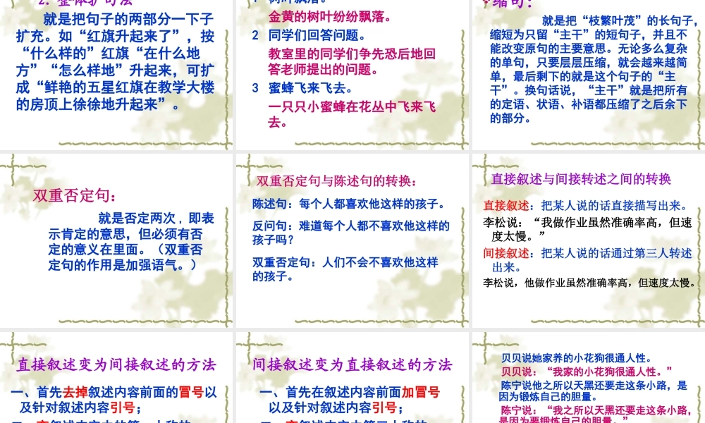 句式转换应用.ppt