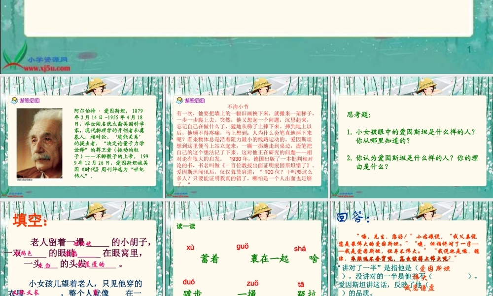 《爱因斯坦和小女孩》PPT课件