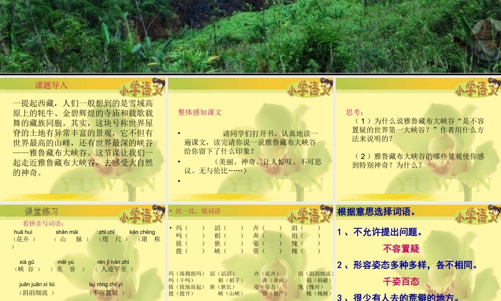 (人教新课标)四年级语文课件-雅鲁藏布大峡谷