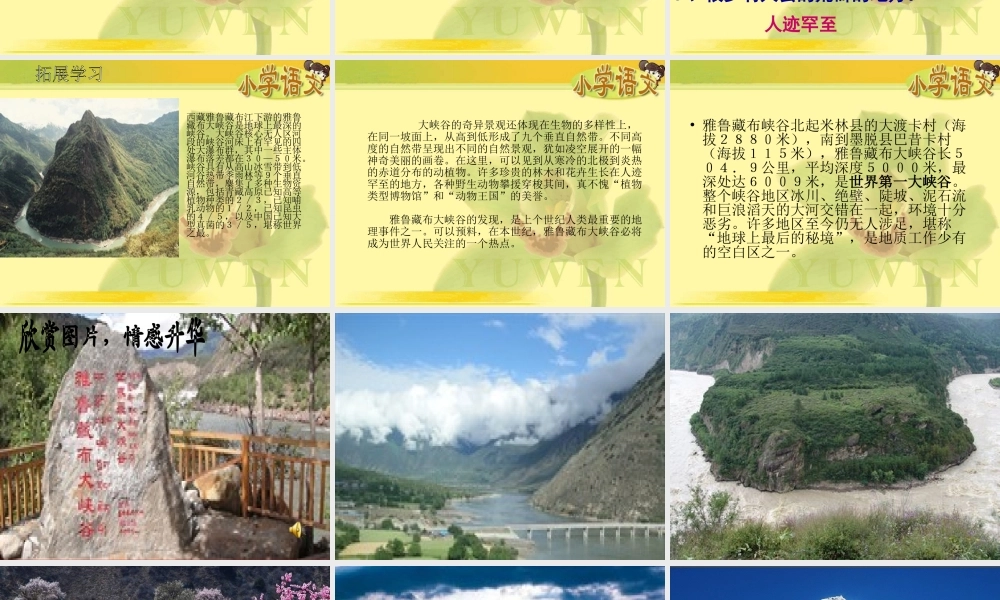 (人教新课标)四年级语文课件-雅鲁藏布大峡谷
