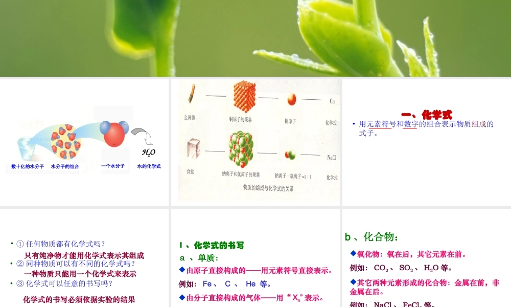 单元3纯净物组成的表示方法
