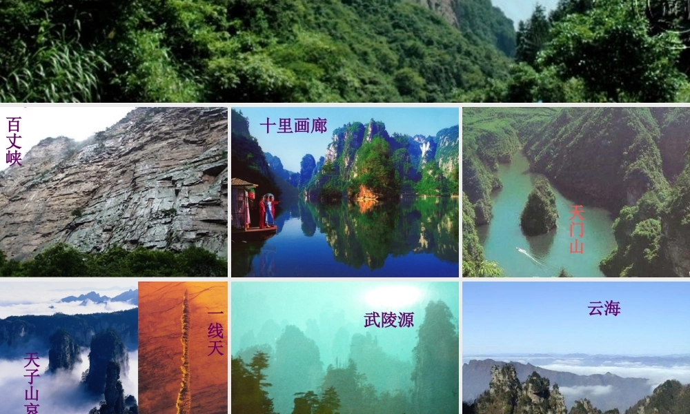 《索溪峪的野》新授PPT课件之四-(2)