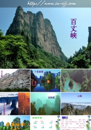 《索溪峪的野》新授PPT课件之四-(2)