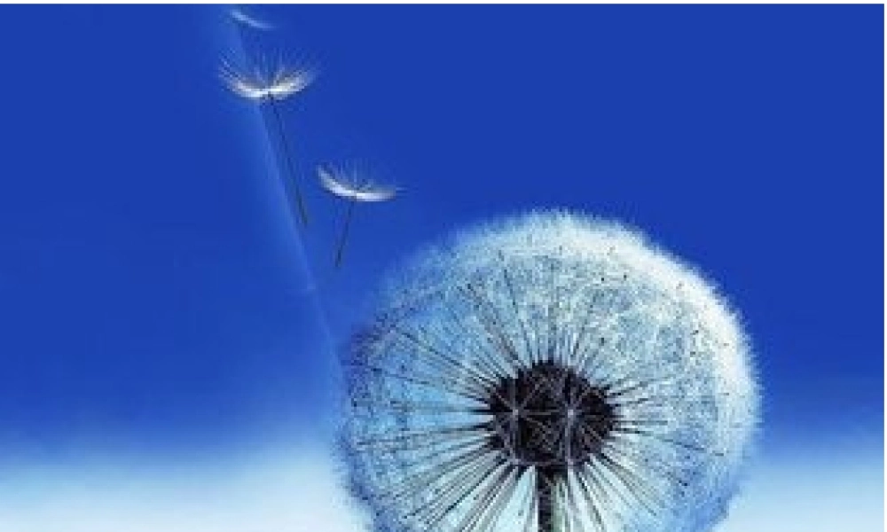 人教2011版小学数学二年级整百、整千数的加减