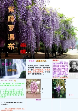 (部编)初中语文人教2011课标版七年级下册紫藤萝瀑布1
