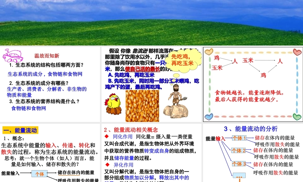 5.2生态系统的能量流动标准化教学课件(推荐
