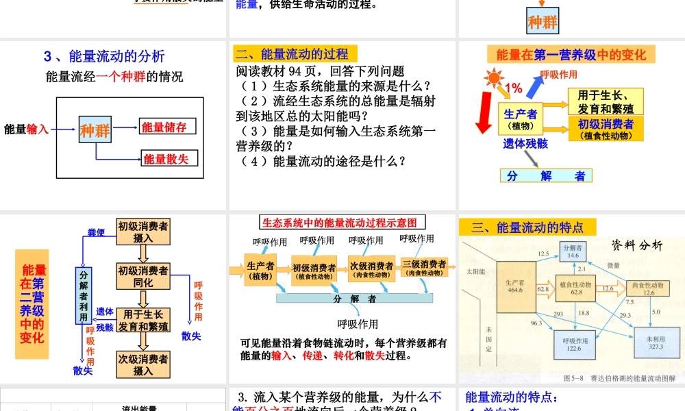 5.2生态系统的能量流动标准化教学课件(推荐