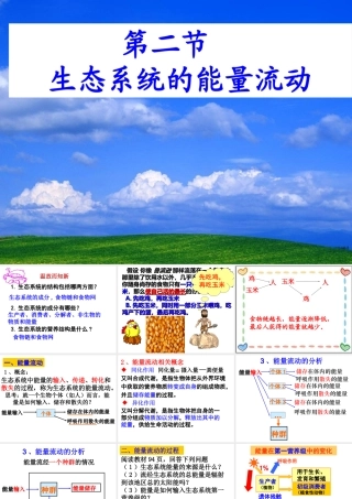 5.2生态系统的能量流动标准化教学课件(推荐