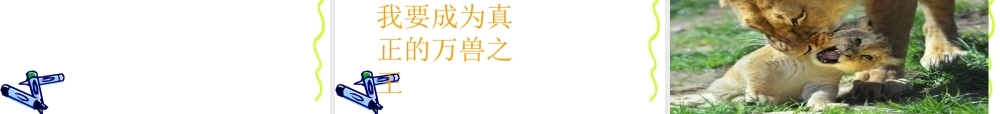 27、两只小狮子课件