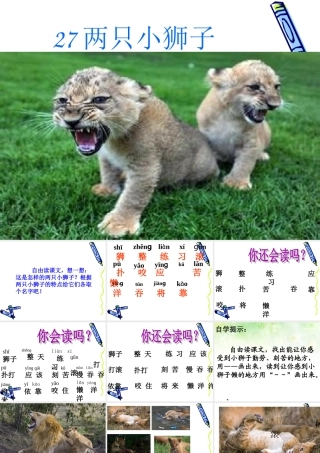 27、两只小狮子课件