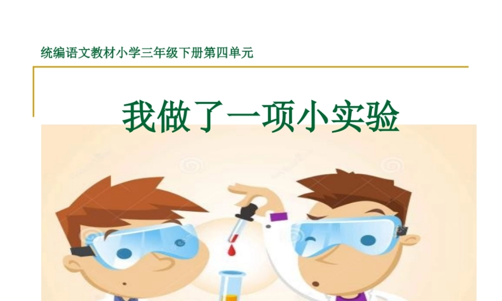习作：我做了一项小实验