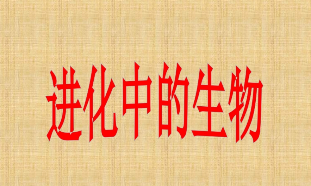 《9-进化中的生物》课件