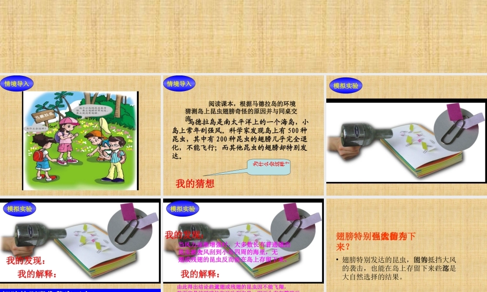 《9-进化中的生物》课件