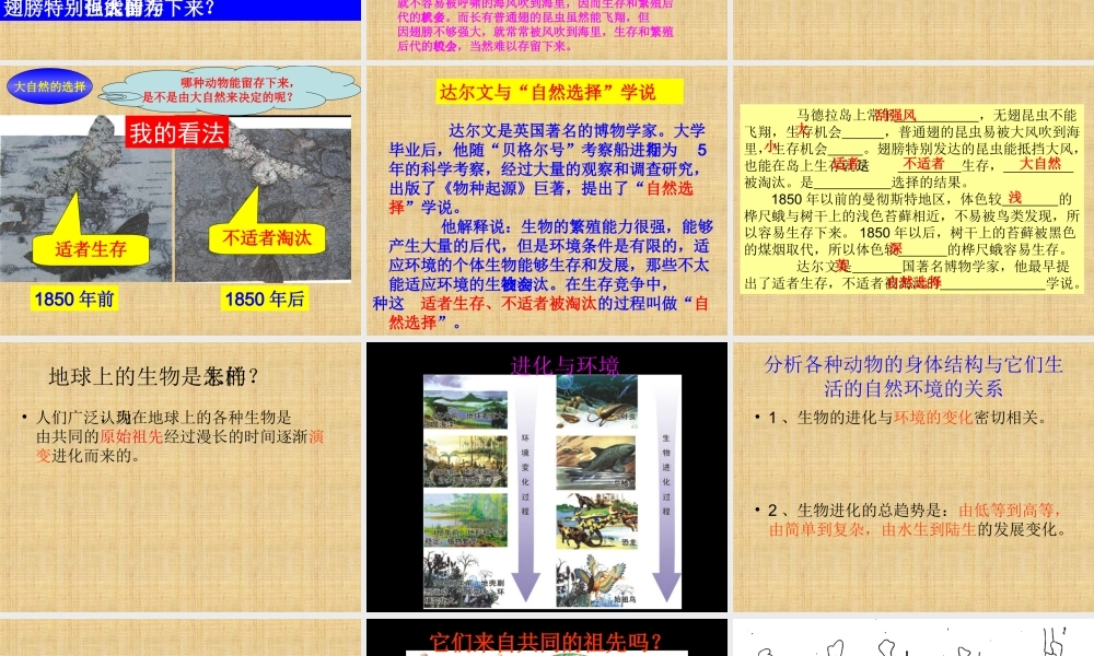 《9-进化中的生物》课件