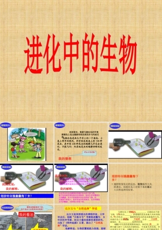 《9-进化中的生物》课件