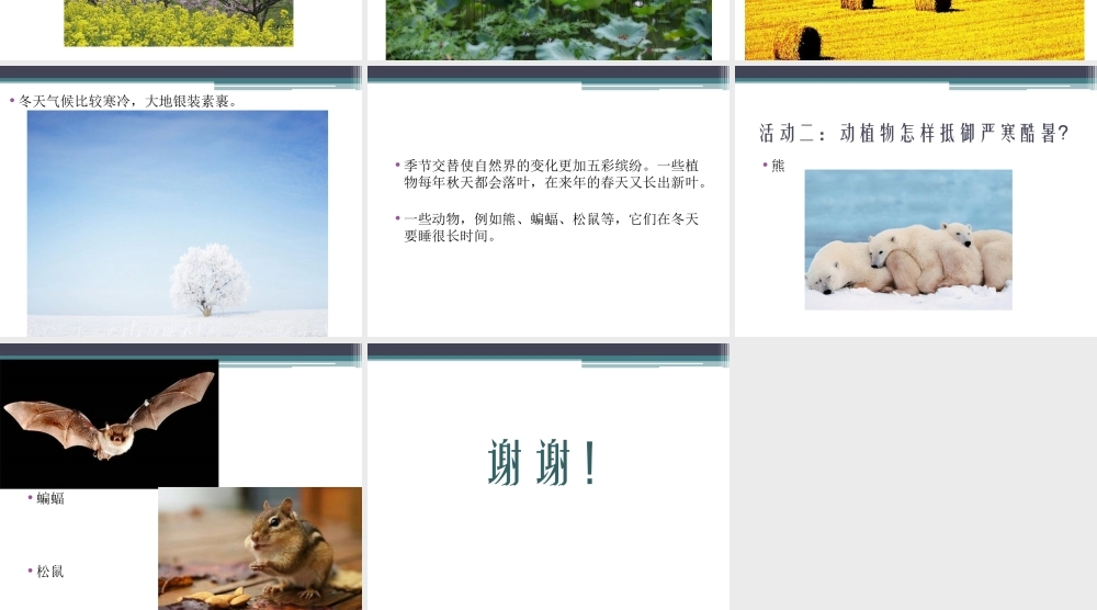 《5-春夏与秋冬》课件1