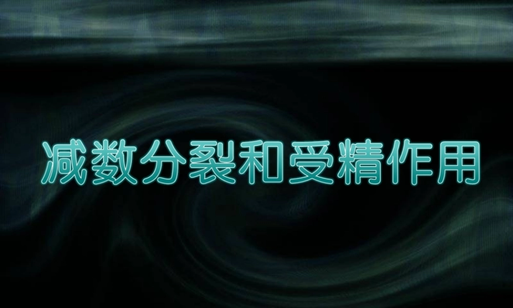 2.2.1减数分裂和受精作用教学课件