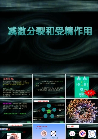 2.2.1减数分裂和受精作用教学课件
