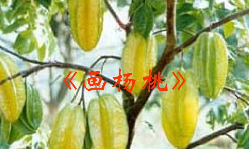 三年级下册课件全集画杨桃