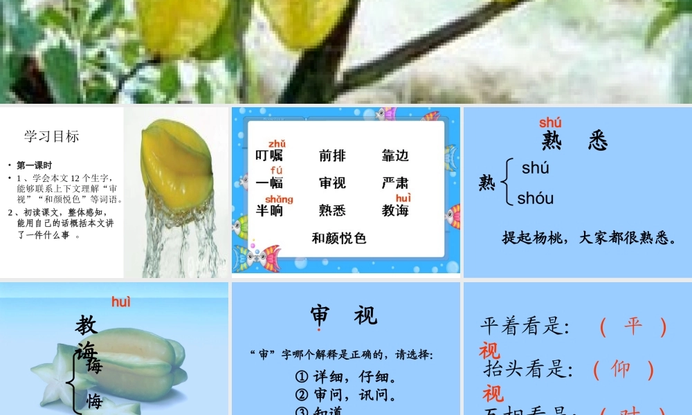 三年级下册课件全集画杨桃