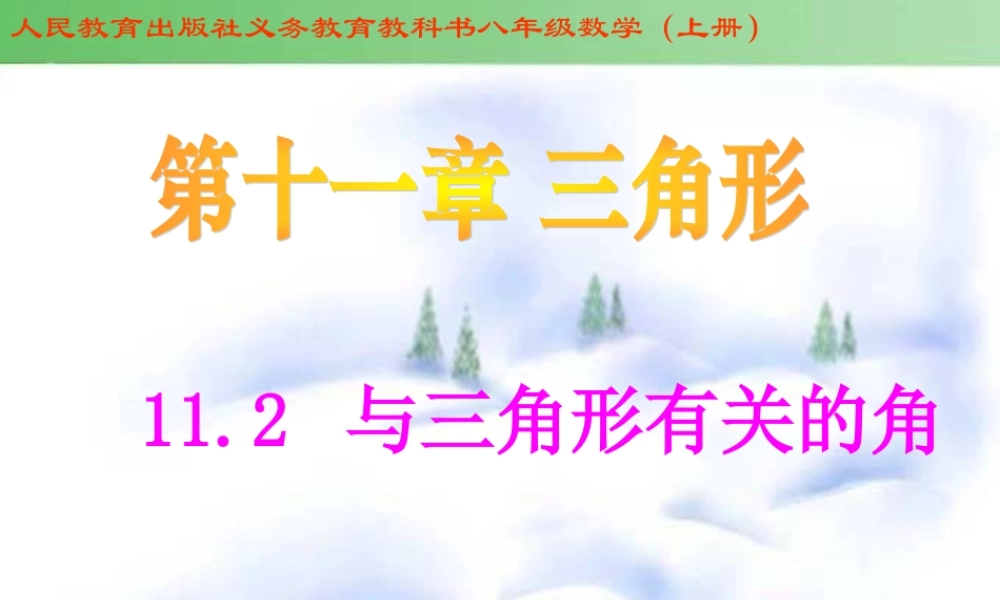 11.2.1三角形的内角.2.1三角形的内角都小娟