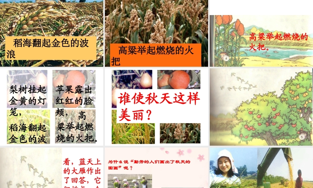 二年级语文上册第一组1.秋天的图画课件