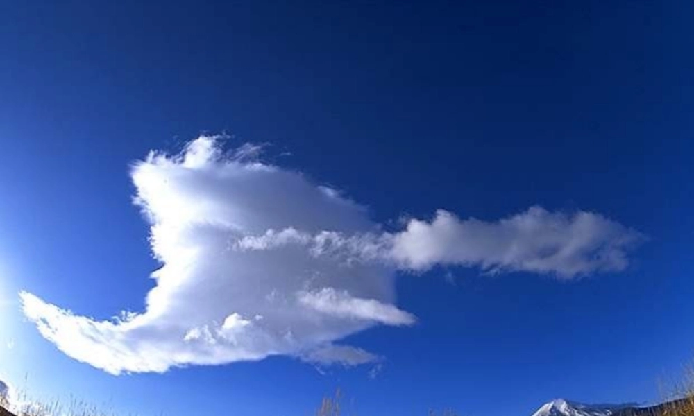 高一英语学法指导