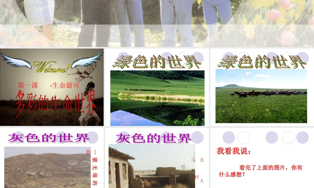 《多彩的生命世界》课件