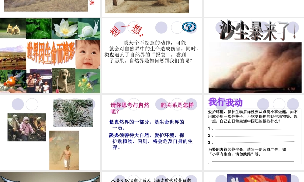 《多彩的生命世界》课件