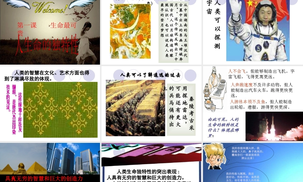 《多彩的生命世界》课件