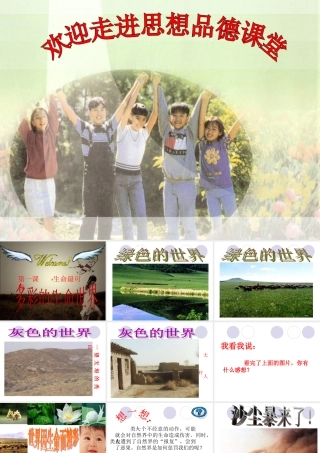 《多彩的生命世界》课件