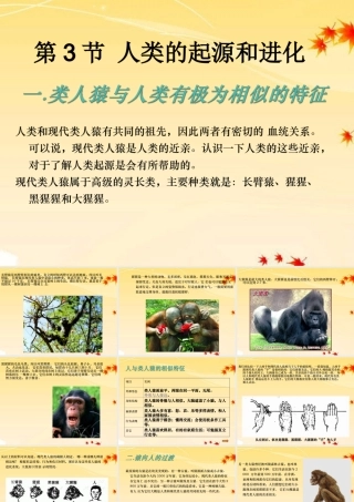 湖北省汉川实验中学2011-2012学年八年级生物上册-人类的起源与进化课件-人教新课标版