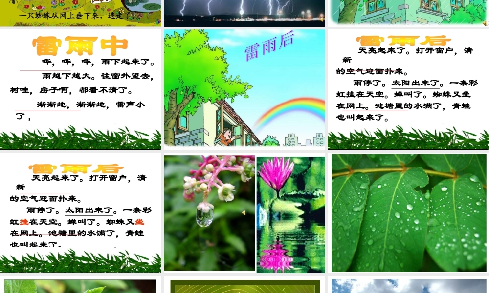 18、雷雨PPT