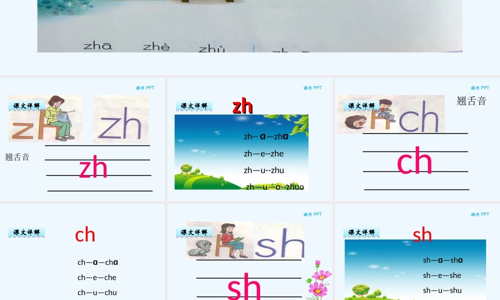 (部编)人教2011课标版一年级上册汉语拼音8-zh-ch-sh-r-(2)