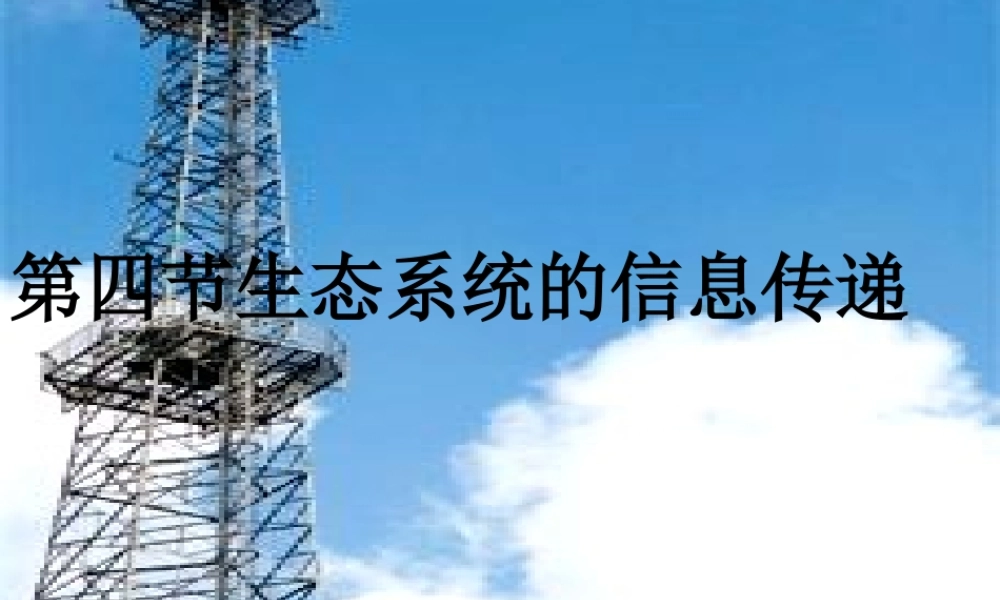 《生态系统的信息传递》课件