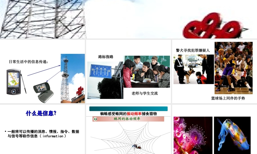 《生态系统的信息传递》课件