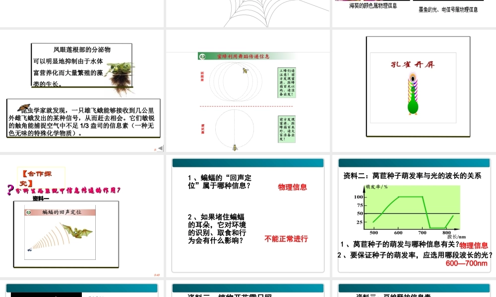 《生态系统的信息传递》课件