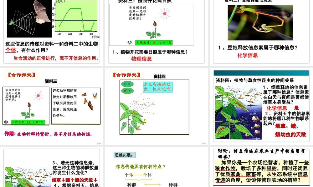 《生态系统的信息传递》课件