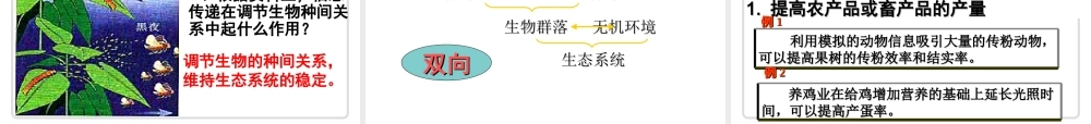 《生态系统的信息传递》课件