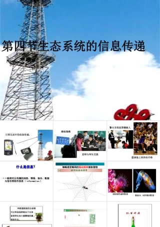 《生态系统的信息传递》课件