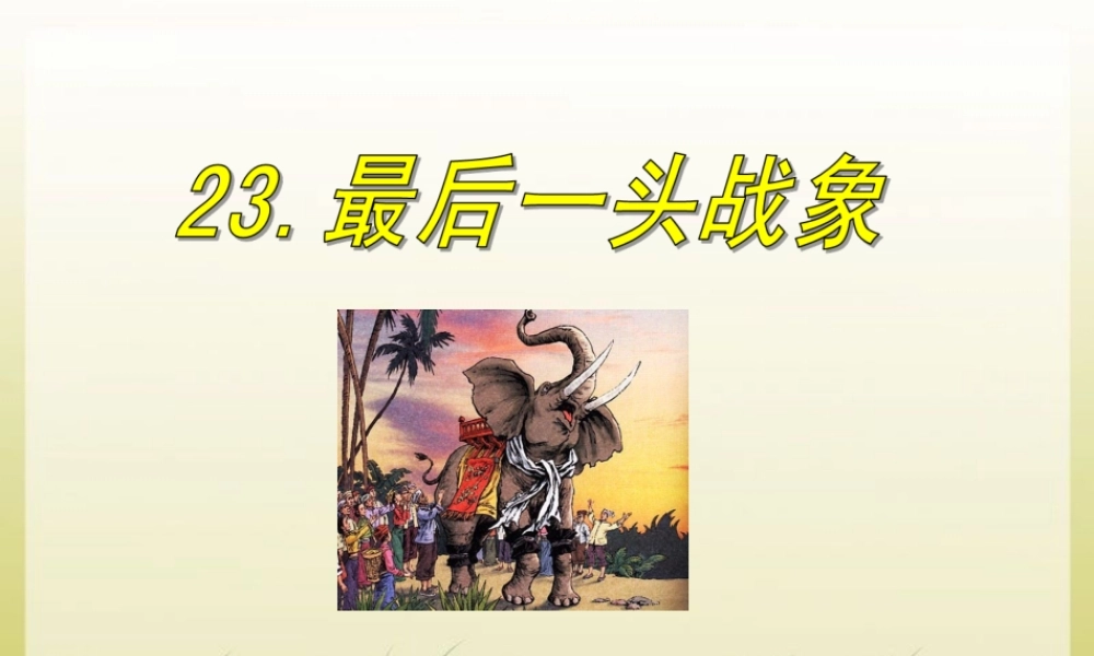 《最后一头战象》课件3