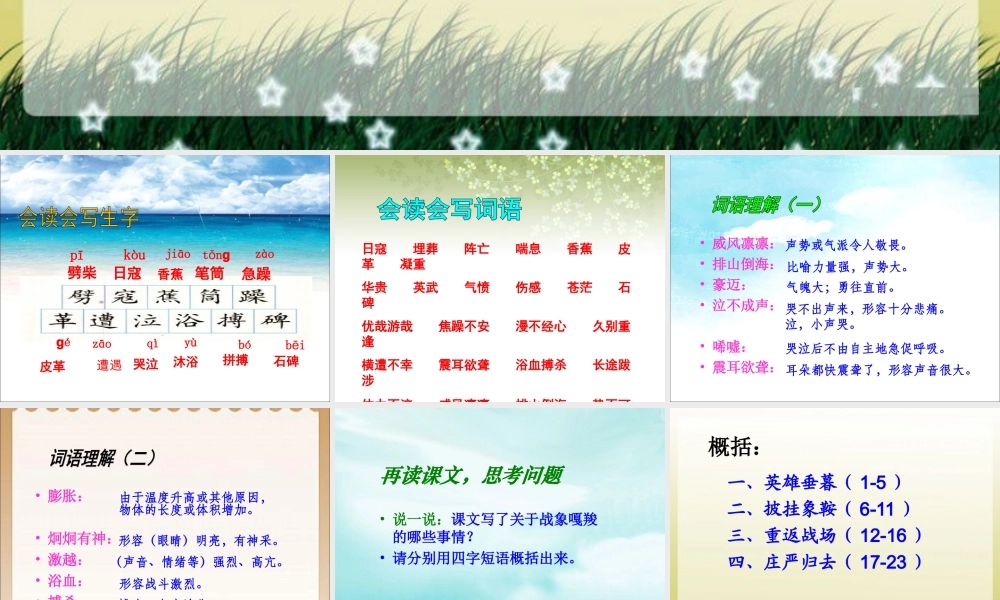 《最后一头战象》课件3