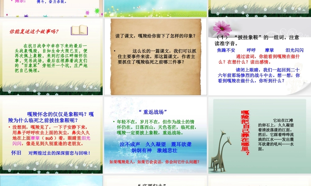 《最后一头战象》课件3