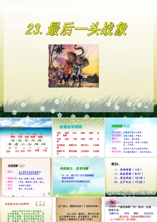 《最后一头战象》课件3