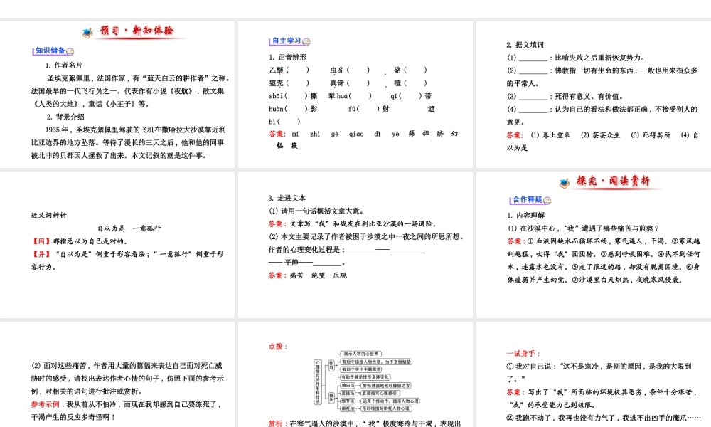 《在沙漠中心》课件8