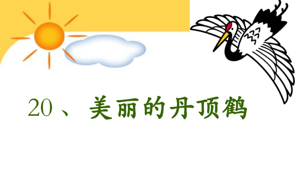 《美丽的丹顶鹤》课件
